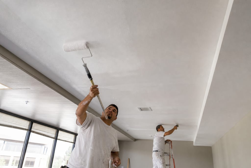 Ceiling Paint photo